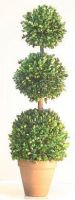 Triple Ball Boxwood Topiary 40” Topiary